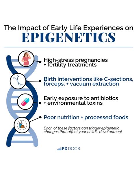 What implications do epigenetics have for child development