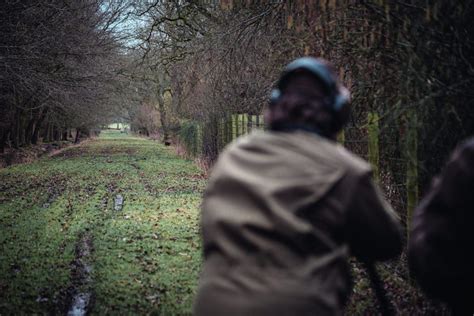 What is British stalking