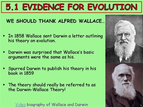 What is Darwins hunting hypothesis