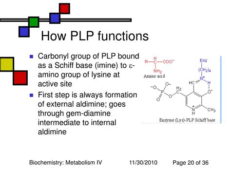 What is PLP used for