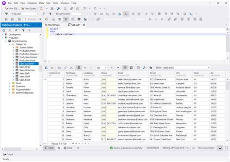 What is SQL Query