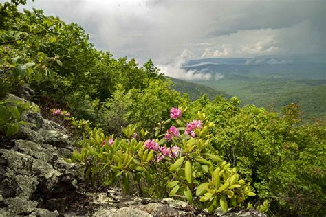 What is Spring mountain known for