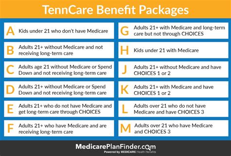 What is TennCare in Tennessee