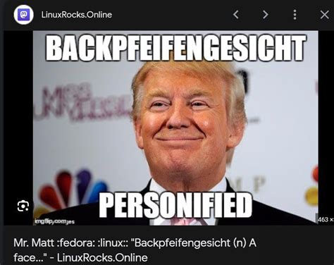 What is a Backpfeifengesicht