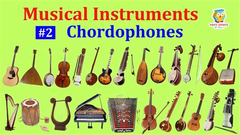 What is a Chorophobe