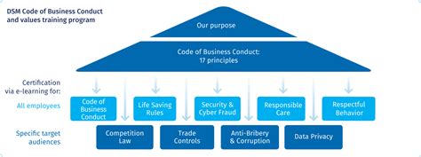 What is a DSM in business