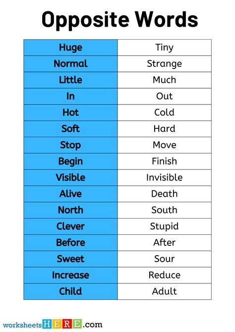 What is a antonym for potential