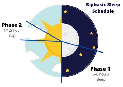 What is a biphasic sleep schedule