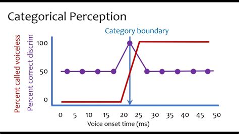 What is a categorical pattern