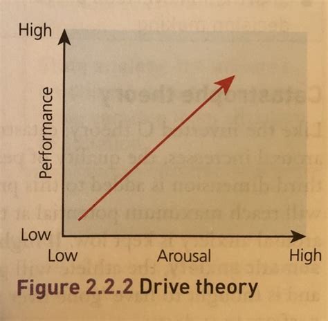 What is a characteristic of a flow experience quizlet