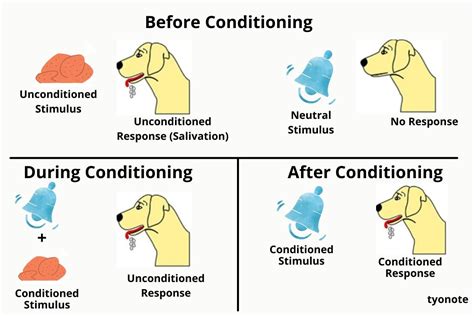 What is a disadvantage of using classical conditioning