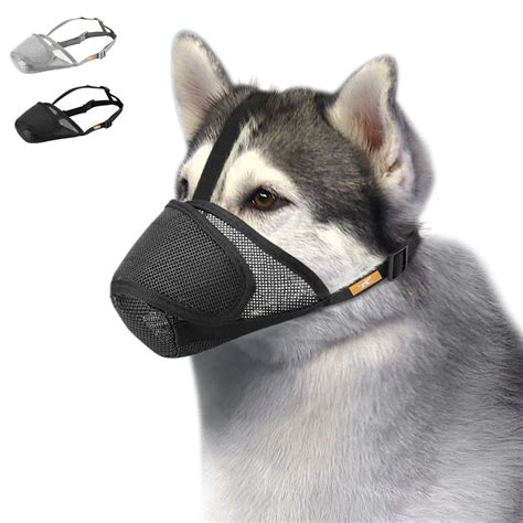What is a dog mask called
