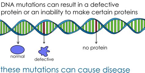 What is a gene with example