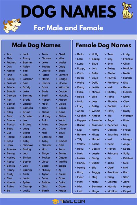 What is a good dog name