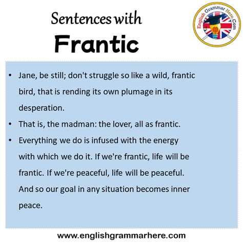 What is a good sentence for frantic