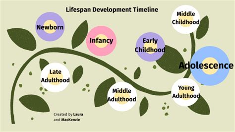 What is a lifespan development