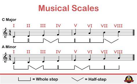 What is a musical scale