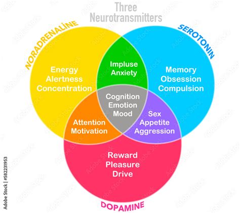 What is a neurotransmitter with roles in pleasure and pain
