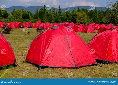 What is a red tent group