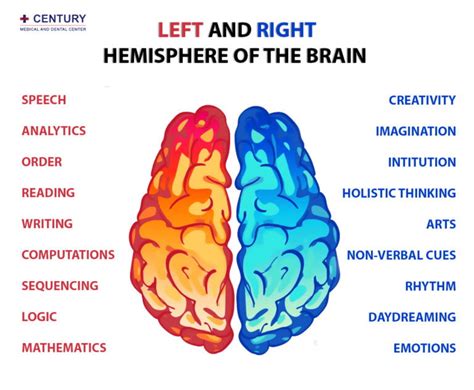 What is a right hemisphere in psychology