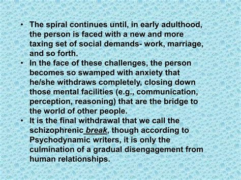 What is a schizophrenic break