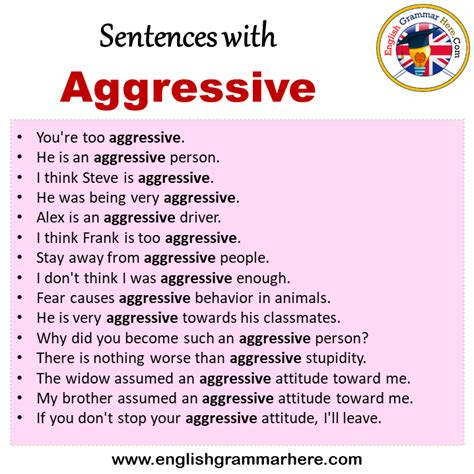 What is a sentence for aggressive