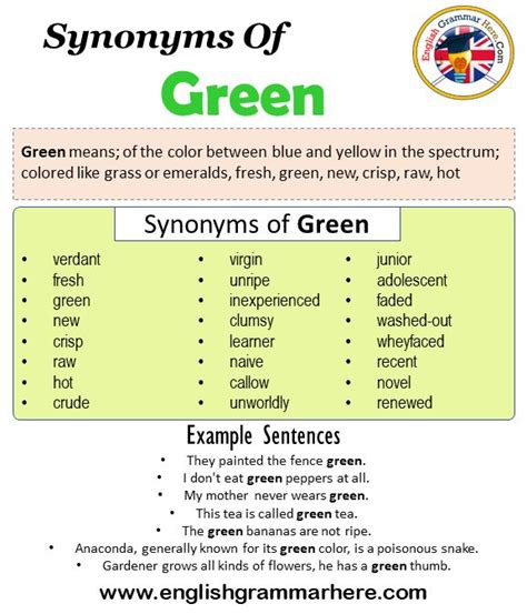 What is a synonym for green light