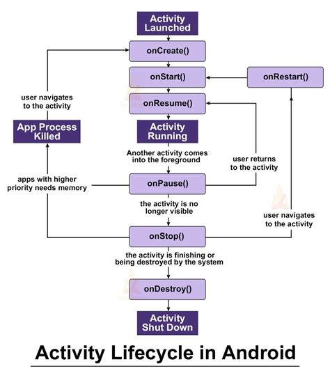 What is activity life cycle in Android