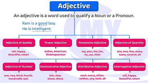 What is adjective of Vigour