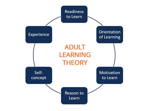 What is adult learning theory