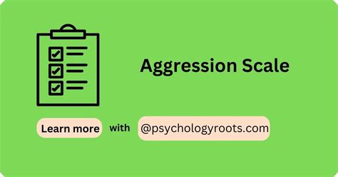 What is aggression scale