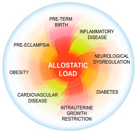 What is allostatic load example