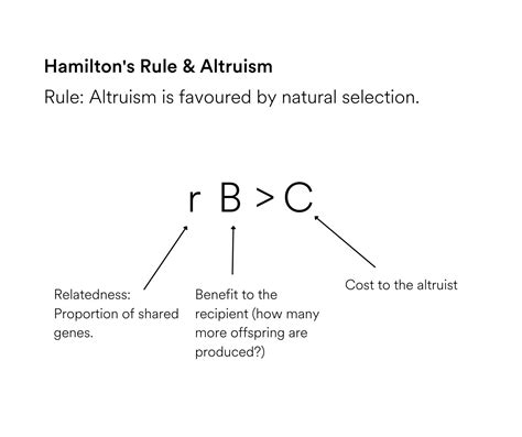 What is altruism in biology