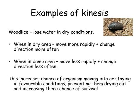 What is an example of Kinesis