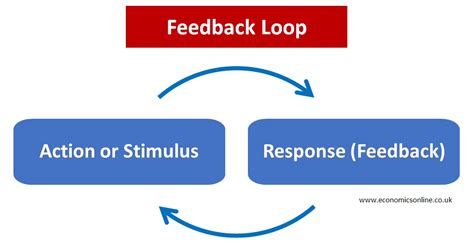 What is an example of a positive feedback loop