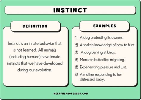 What is an example of an instinct