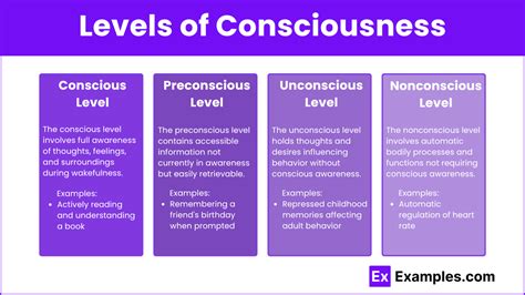 What is an example of being conscious