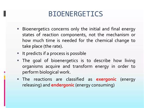 What is an example of bioenergetics