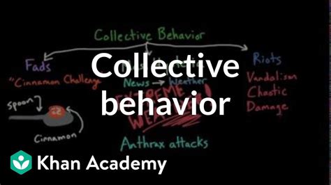 What is an example of collective behavior