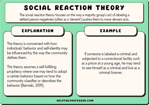 What is an example of social reaction theory