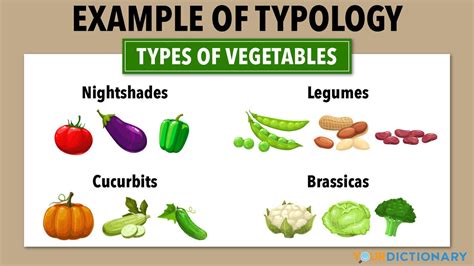 What is an example of typology