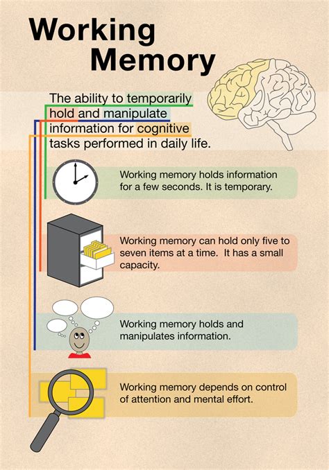 What is an example of working memory in child development