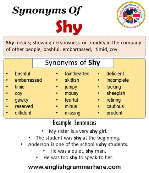 What is another name for shy
