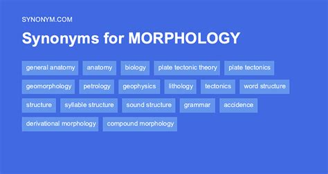What is another word for morphology