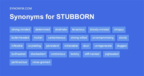 What is another word for stubbornness