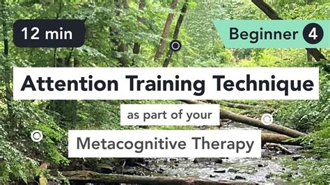 What is attention training technique