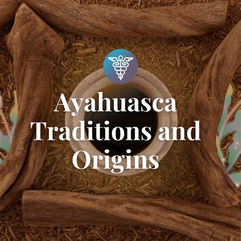 What is ayahuasca derived from