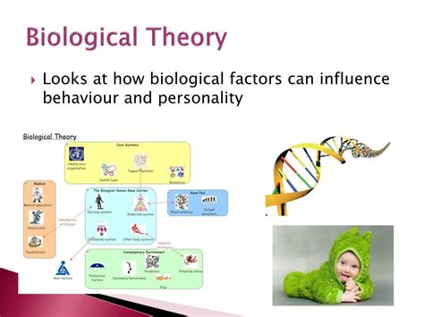 What is biological theory