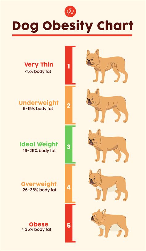 What is considered obese for dog