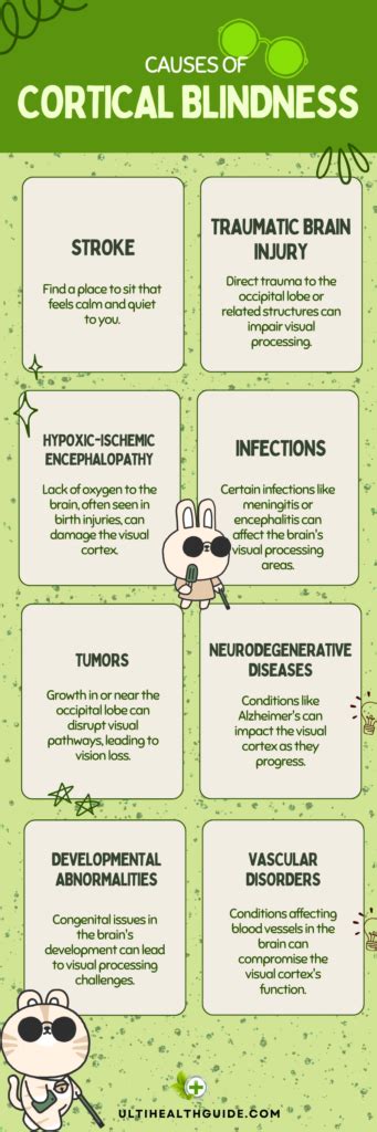 What is cortical blindness